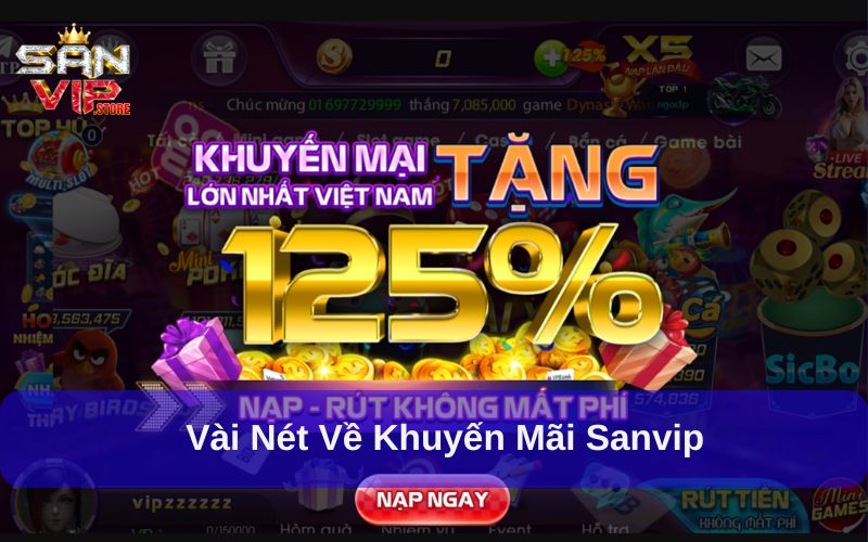 Vài nét về khuyến mãi Sanvip